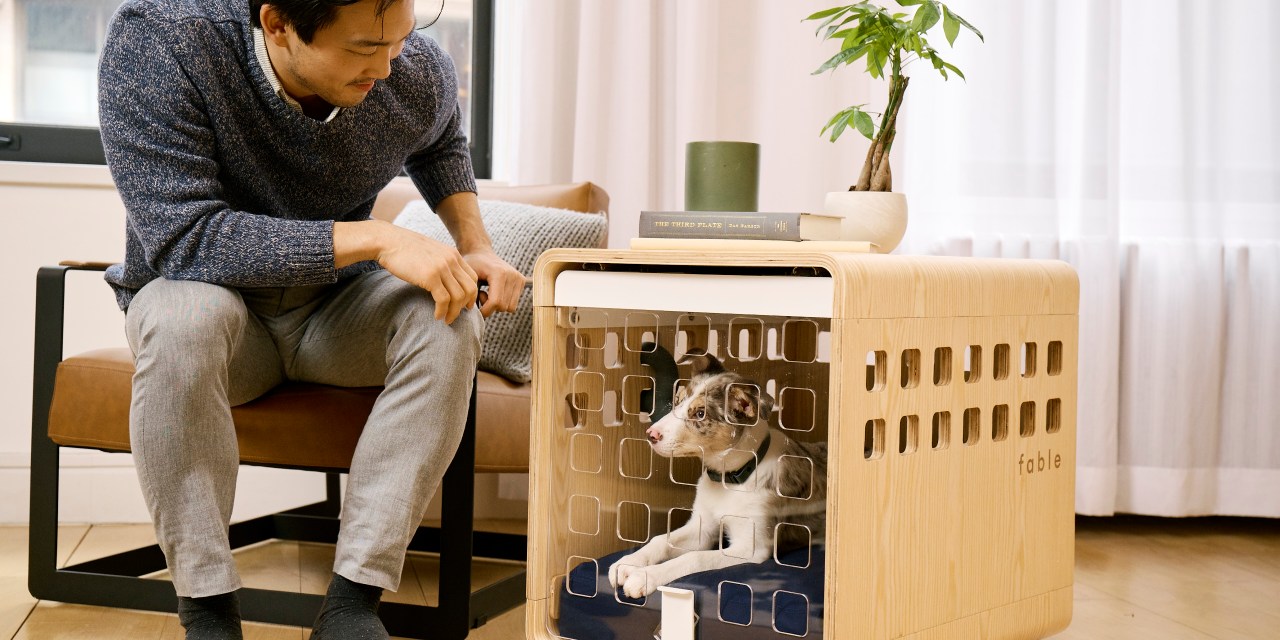 Fable dog crate review: Is it worth it?
