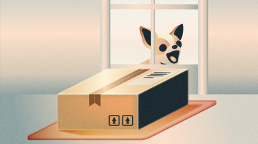 A package sits on a doorstep while a dog can be seen barking through the window