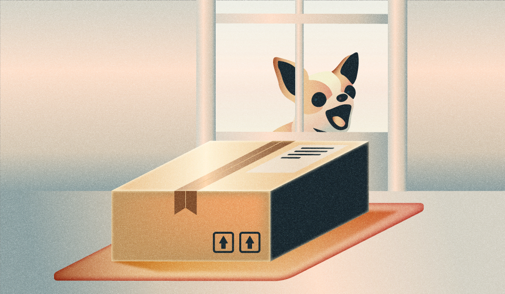 A package sits on a doorstep while a dog can be seen barking through the window